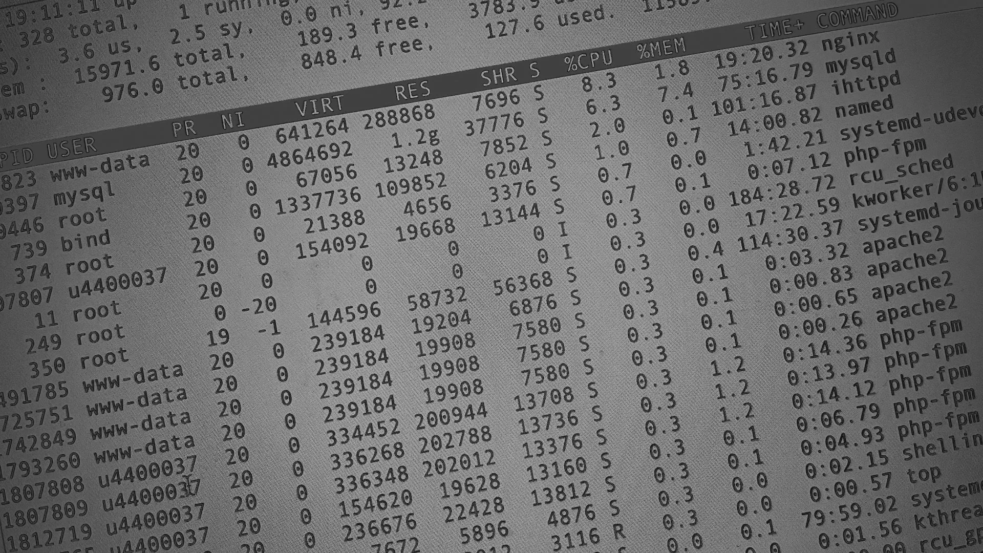 Настройка сервера в Дно