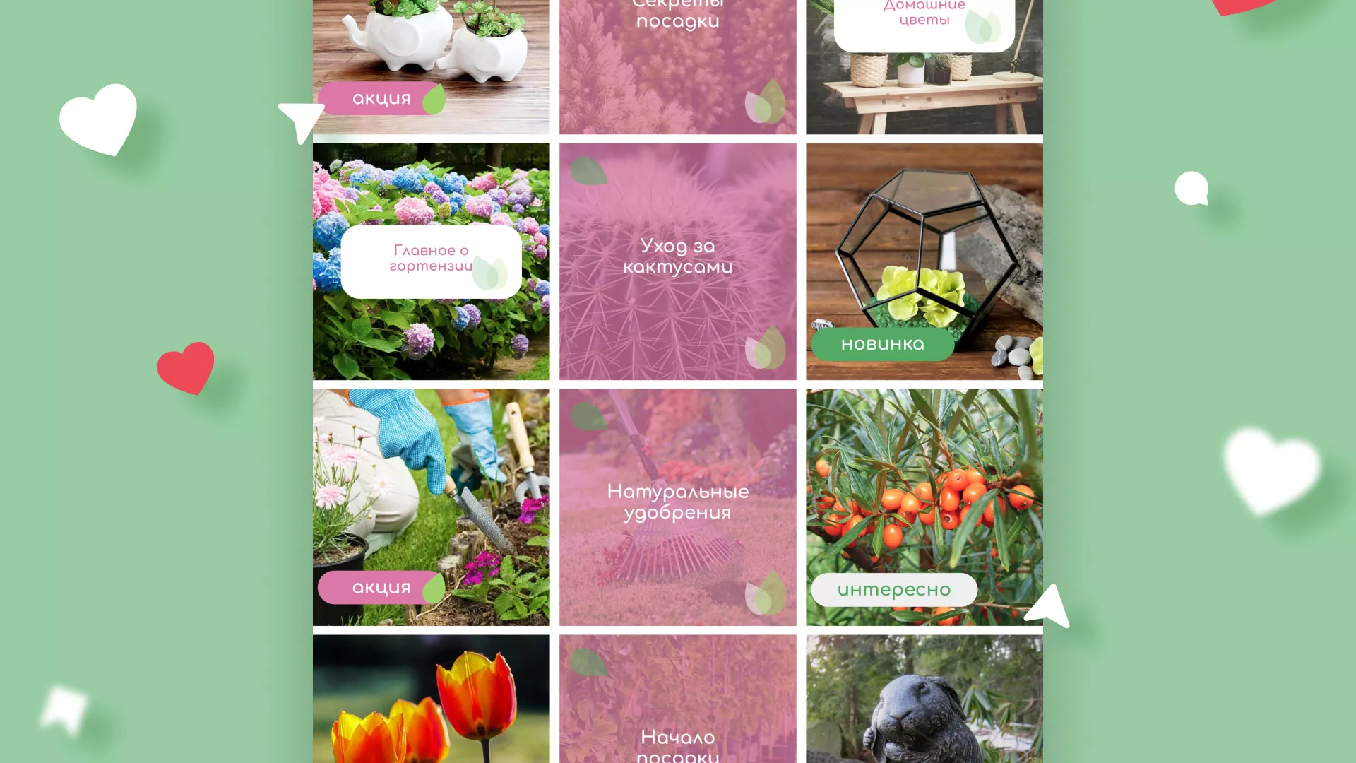 Разработка оформления профиля Instagram для магазина «Floraint» в Дно