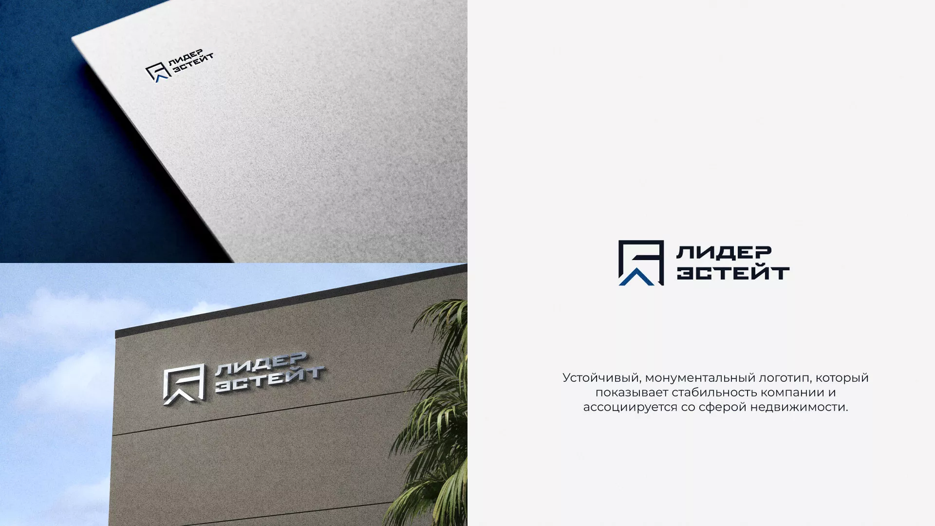Разработка логотипа агентства недвижимости «Лидер Эстейт» в Дно