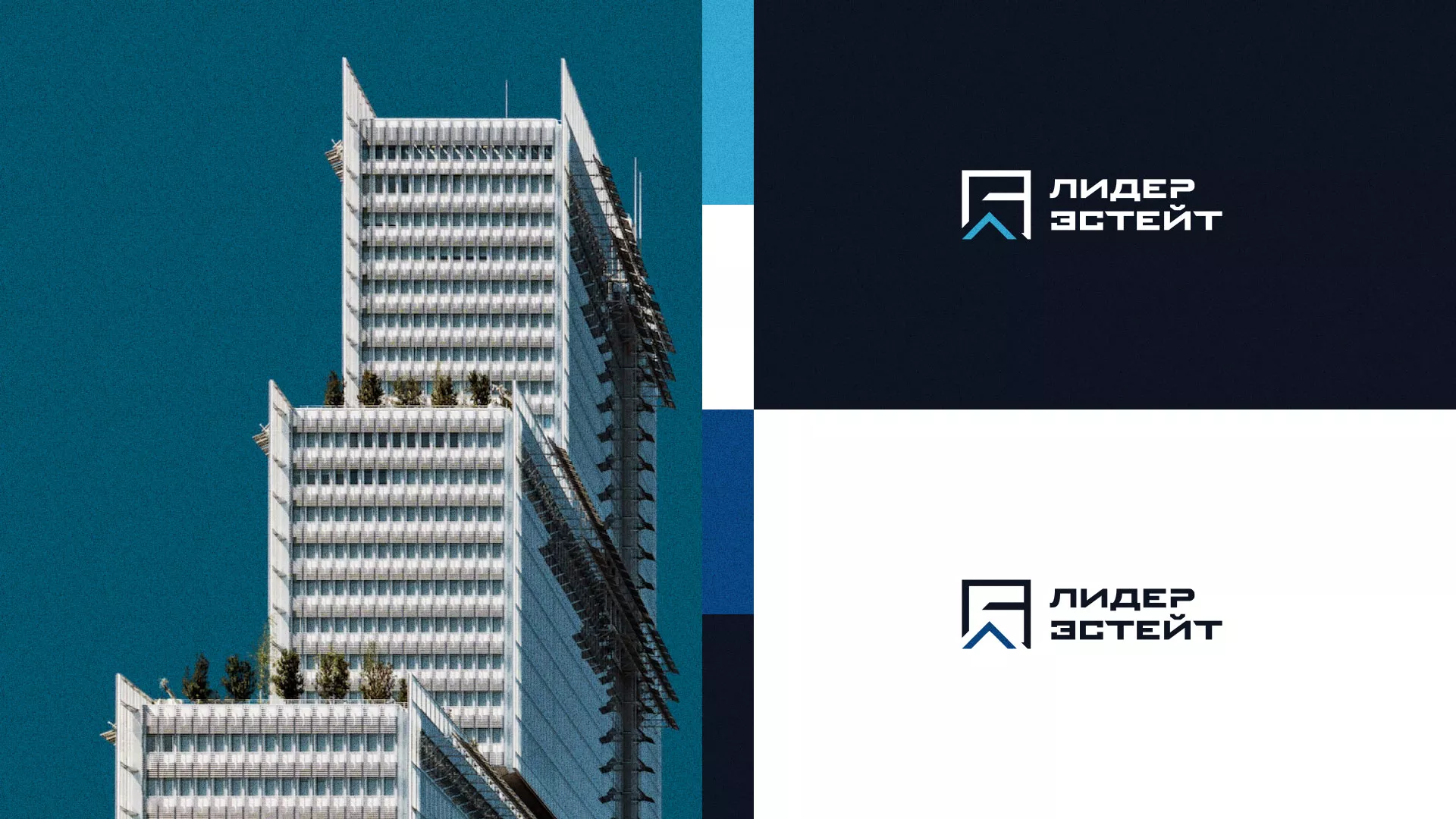 Разработка логотипа агентства недвижимости «Лидер Эстейт» в Дно