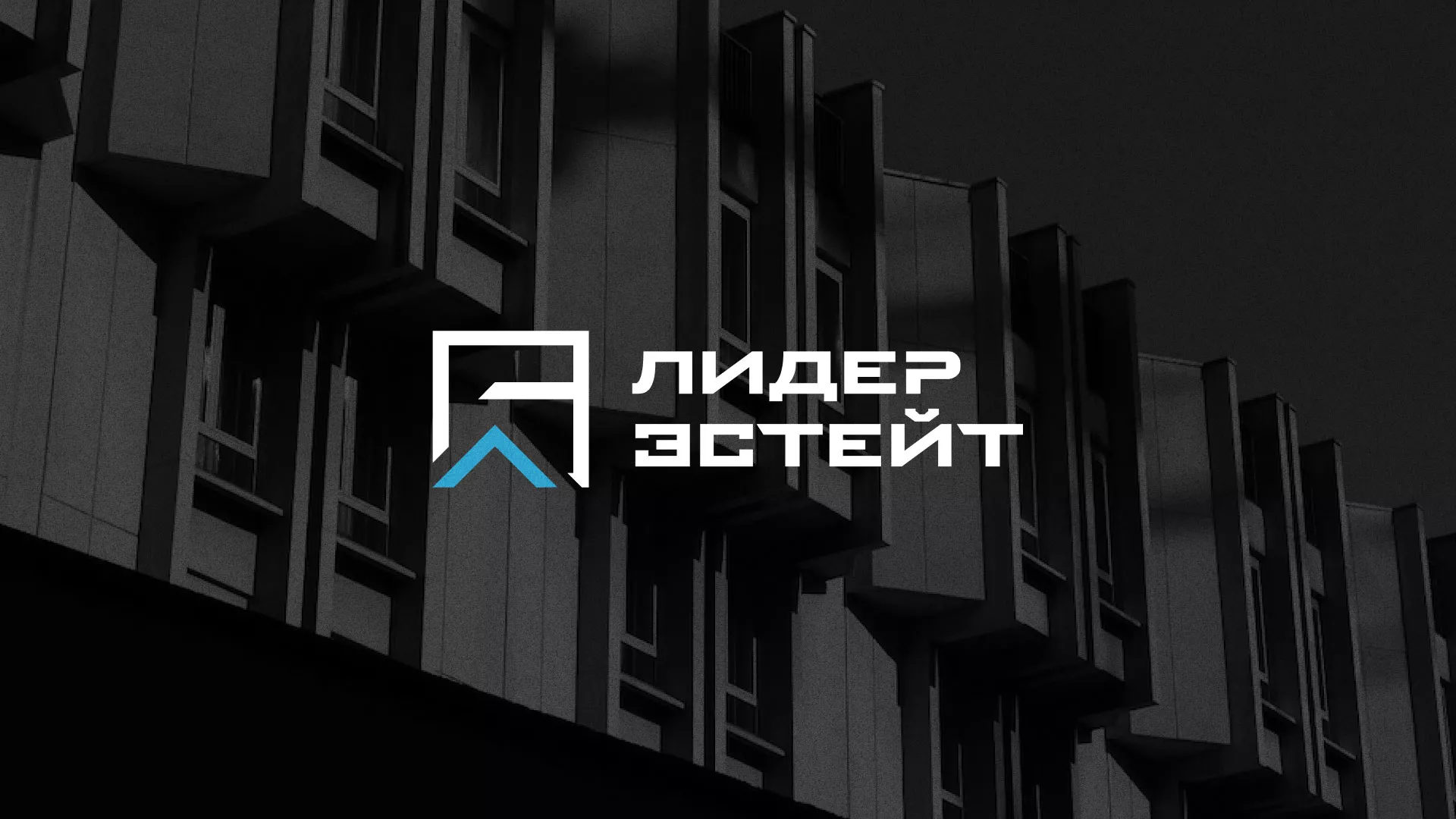 Разработка логотипа агентства недвижимости «Лидер Эстейт» в Дно